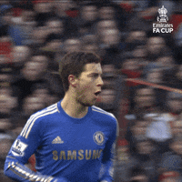 GIF by Emirates FA Cup