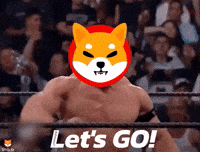 Shiba GIF by SHIB MEMES
