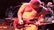 I Love My Dog GIF by Sublime
