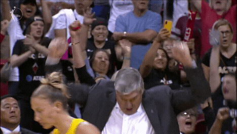 James Harden Sport GIF by WNBA