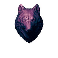 whcreative wolf jangwoohyuk 장우혁 whcreative Sticker