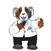 MarketingMedicalAudicion cuy pilas orejitas sordera Sticker