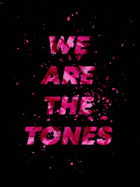 tonecity tonecity tonecitybr GIF
