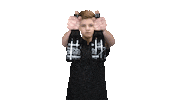 pelles deurningen pelles Sticker