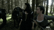Season 1 Starz GIF by Outlander