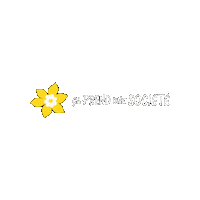 Ccs Scc Sticker by Canadian Cancer Society