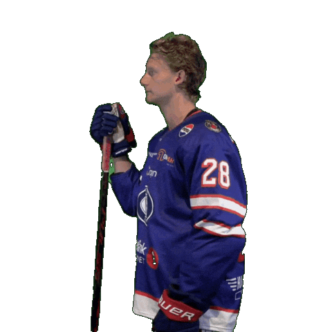 Day Match Sticker by VIF Hockey