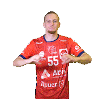 Sport Handball Sticker