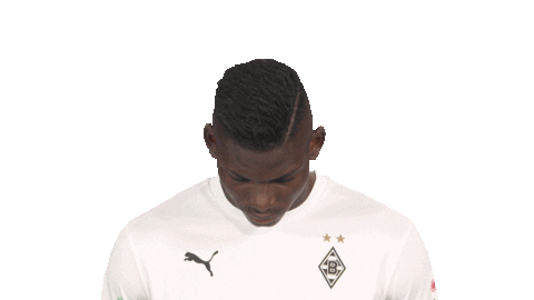 Happy Line Up Sticker by Bundesliga