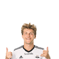 Carlo Holse Sticker by RBK