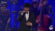 Pop Musica GIF by PBS