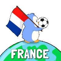 France Football Sticker by Pudgy Penguins