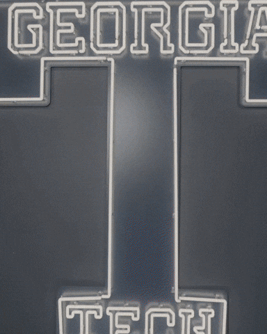 Georgia Tech Baseball GIF by Georgia Tech Yellow Jackets