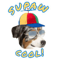 Fun Dogs Sticker by FuzzYard