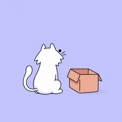 Cat If I Fits I Sits GIF by doodles