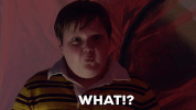 bobcat goldthwait what GIF by truTV’s Bobcat Goldthwait’s Misfits & Monsters