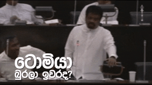 viber funny fun dog angry GIF