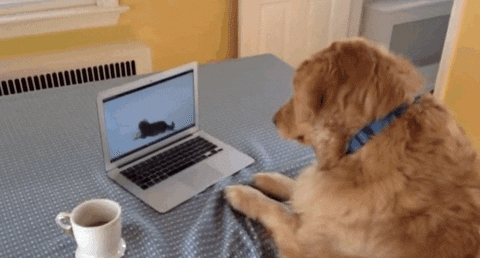 computer GIF