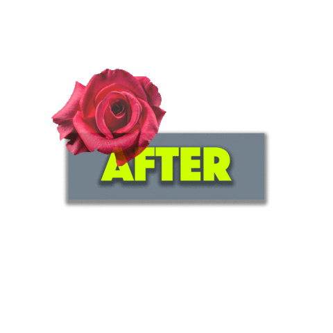 Moontowermicroblading giphyupload Sticker