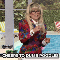 Jimmy Fallon Cheers GIF by The Tonight Show Starring Jimmy Fallon