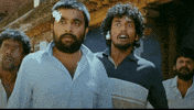 Surprise What GIF