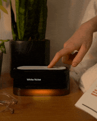 Loftie loftie GIF