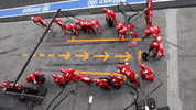 stop pit GIF