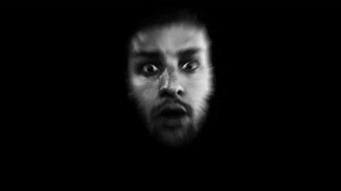 mavicmikept giphyupload GIF