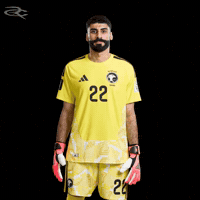 Fifa World Cup Afc GIF by Respective