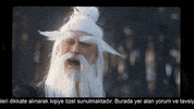 Master Fu GIF by Hokus
