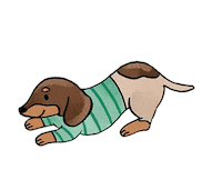 Sw Breeds Sticker by SASSYWOOF