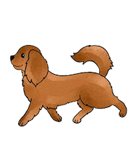 Sw Breeds Sticker by SASSYWOOF