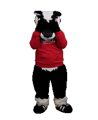 Peek A Boo Wave Sticker by Brock University