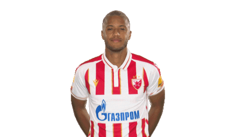 Red Star Football Sticker by FK Crvena zvezda