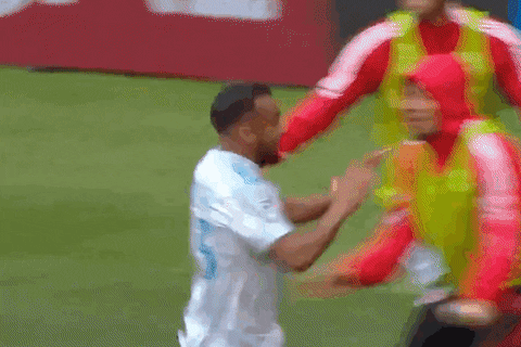Happy New York GIF by Major League Soccer
