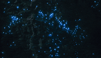 DCAgeOfResistance dark crystal rian brea skeksis GIF