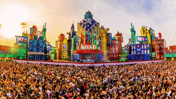 IntentsFestival festival hardstyle intents intents festival GIF