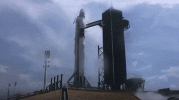 Space America GIF by Greer Tidbits
