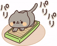 In Love Cat GIF