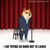 Stand Up Lol GIF by Doge Pound