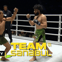 Mma GIF by Sanabul