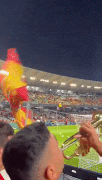 World Cup Football GIF