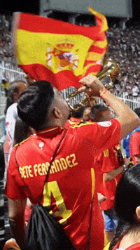 World Cup Football GIF