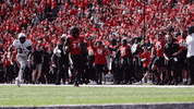 University Of Cincinnati Touchdown GIF by Cincinnati Bearcats