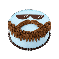 Ice Cream Cake Sticker by Baskin-Robbins
