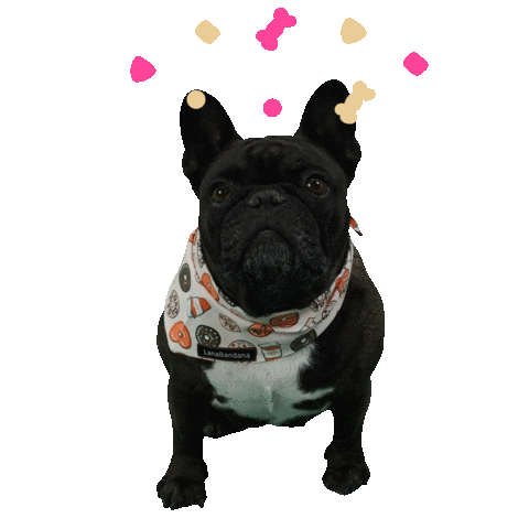 Lanabandana Lanabandanadogwear Lanabandana Dogwear Frenchie Sticker by LanaBandana Dogwear