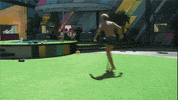 bbuk bear big brother reality tv cbb GIF