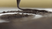 Worth It Donuts GIF by BuzzFeed