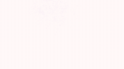 Lenoir Rhyne Hickory GIF by Lenoir-Rhyne University