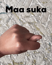 Uzbek Mem GIF